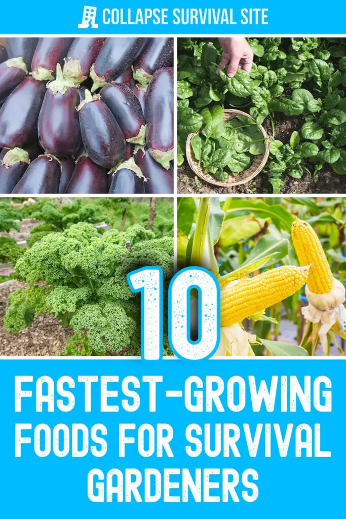10 Fastest-Growing Foods for Survival Gardeners
