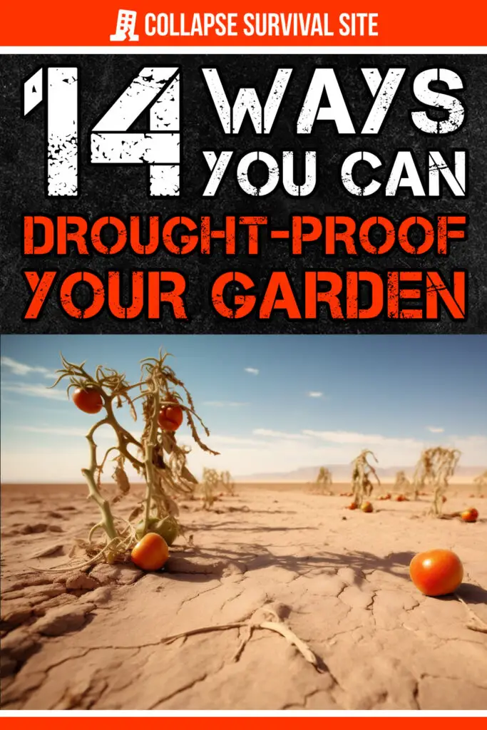 14 Ways To Drought-Proof Your Garden