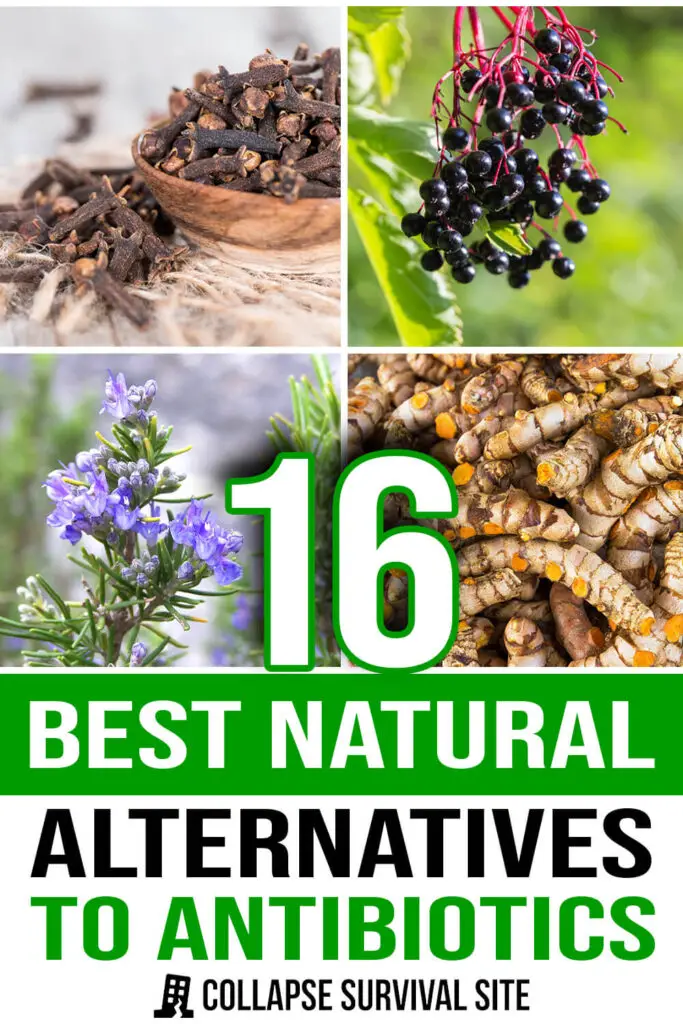 16 Best Natural Alternatives to Antibiotics