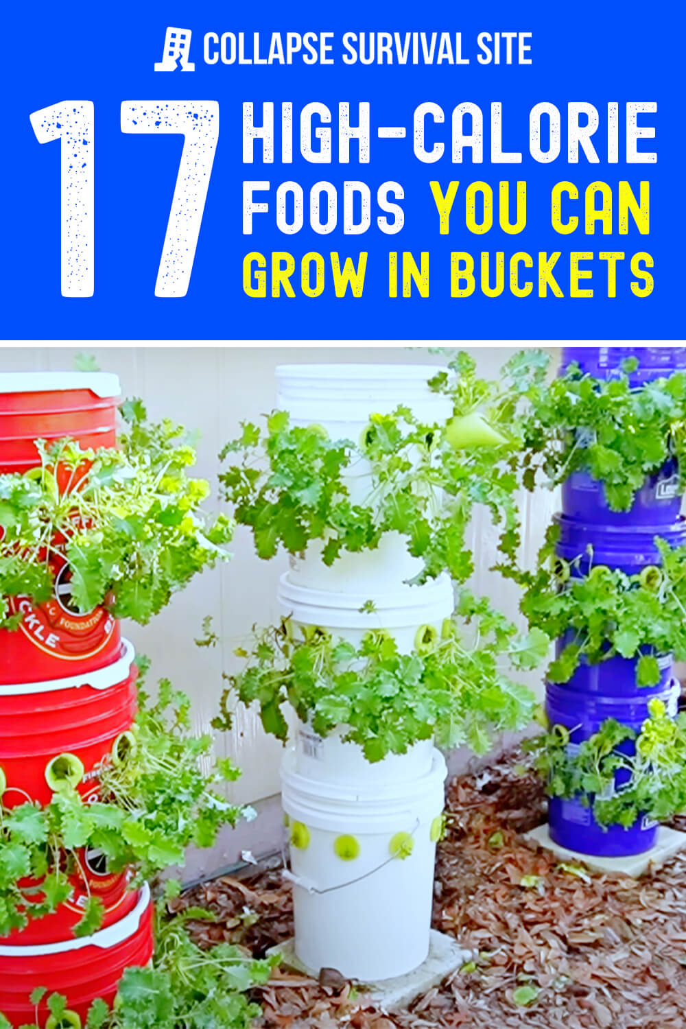 17-high-calorie-foods-you-can-grow-in-buckets