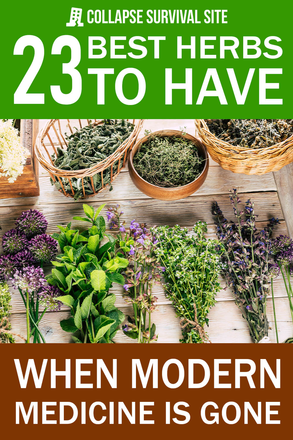 23 Best Herbs to Have When Modern Medicine is Gone - Collapse Survival Site