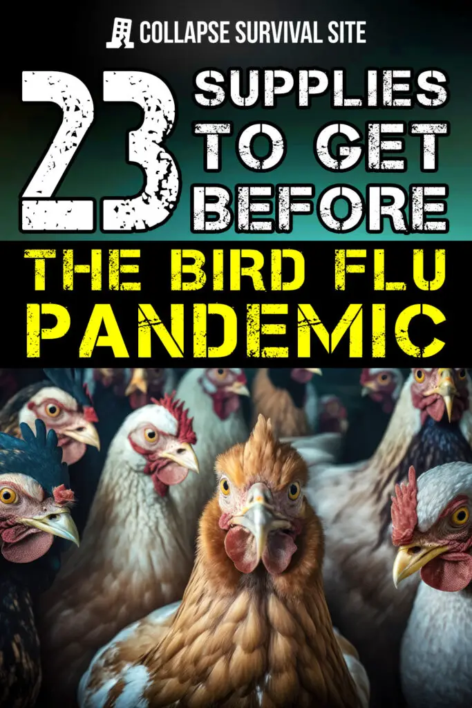 23 Supplies to Get Before the Bird Flu Pandemic