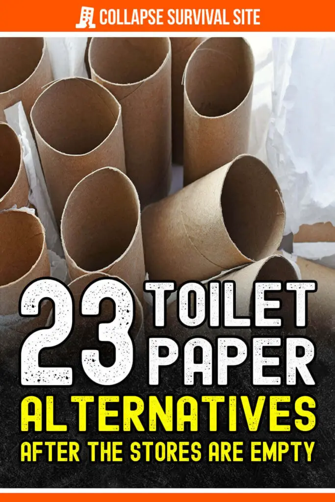 23 Toilet Paper Alternatives After The Stores Are Empty