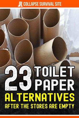 Alternatives to toilet paper found around the world