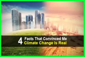 4 Facts That Convinced Me Climate Change Is Real