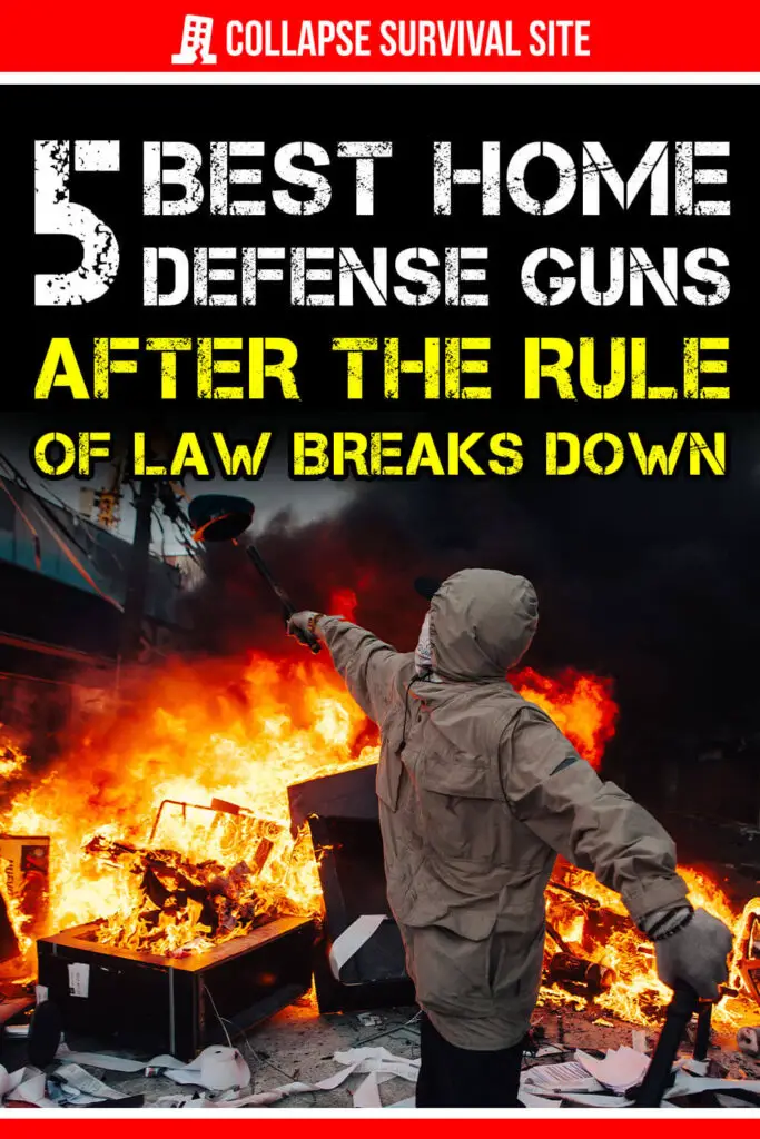 5 Best Home Defense Guns After the Rule of Law Breaks Down