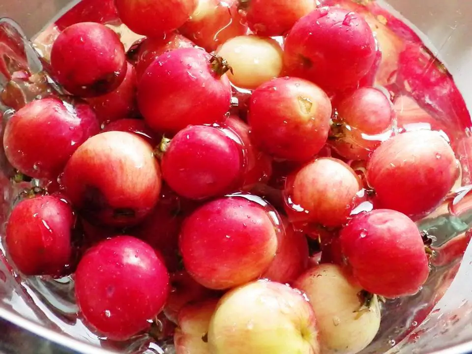 CRABAPPLES IN BOWL