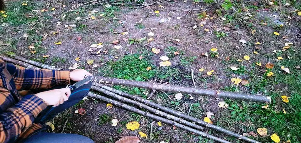 CUTTING BRANCHES