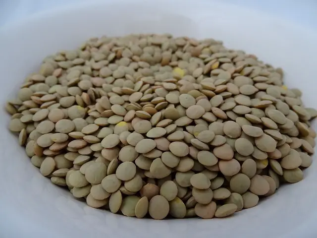 LENTILS ON A BOWL