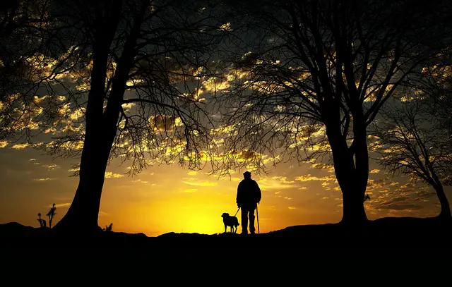 MAN AND DOG AT SUNSET