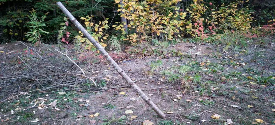 POLE IN GROUND