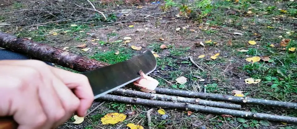 SHARPENING BRANCH