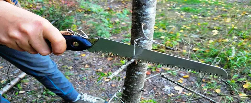 TRIMMING BRANCHES