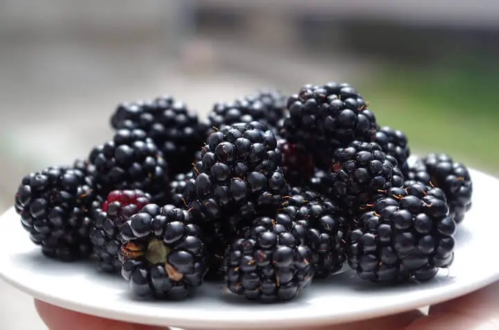 Blackberries on a Plate