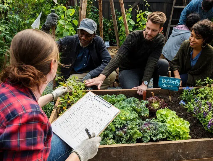 Community Working in Garden