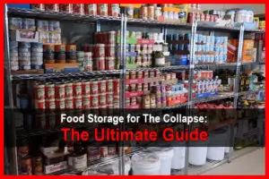Food Storage for The Collapse: The Ultimate Guide