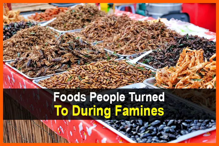 Foods People Turned To During Famines