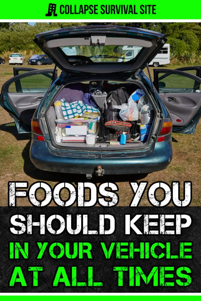 Foods You Should Keep In Your Vehicle At All Times