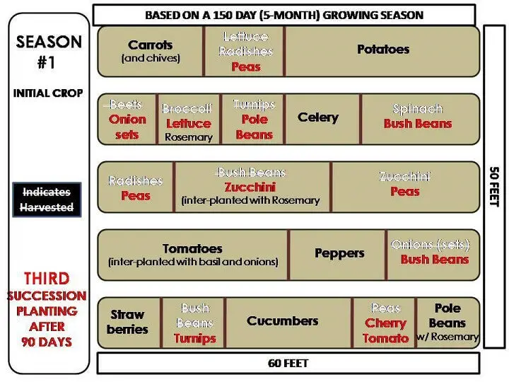 Garden Plan