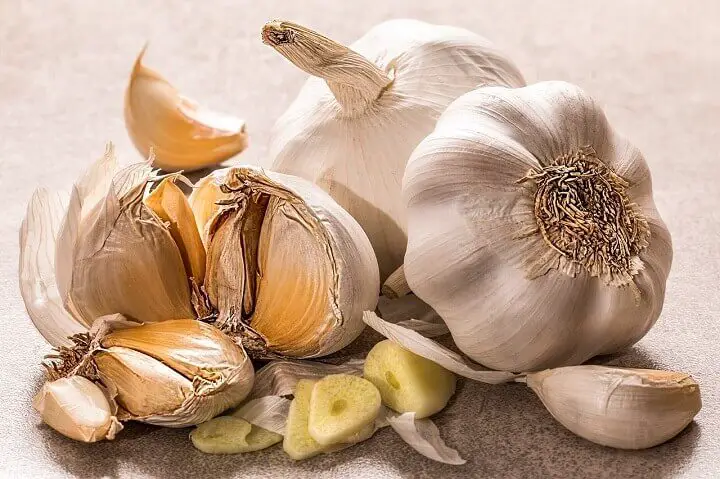 Garlic Bulbs Fresh
