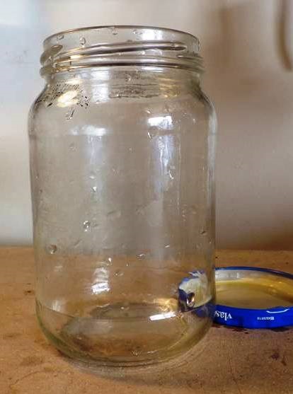 Glass Jar and Lid