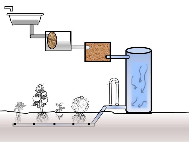 How to Set Up a Greywater System
