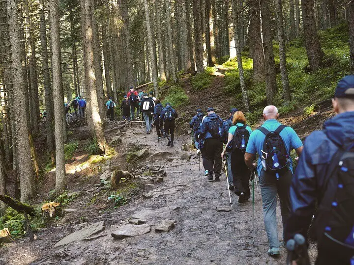 Group of People Hiking