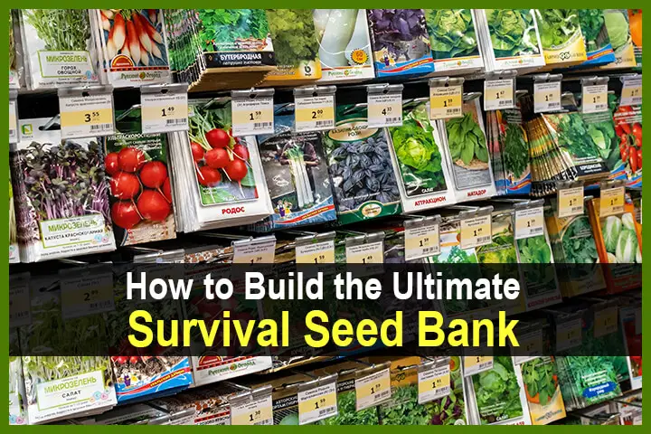 How To Build The Ultimate Survival Seed Bank