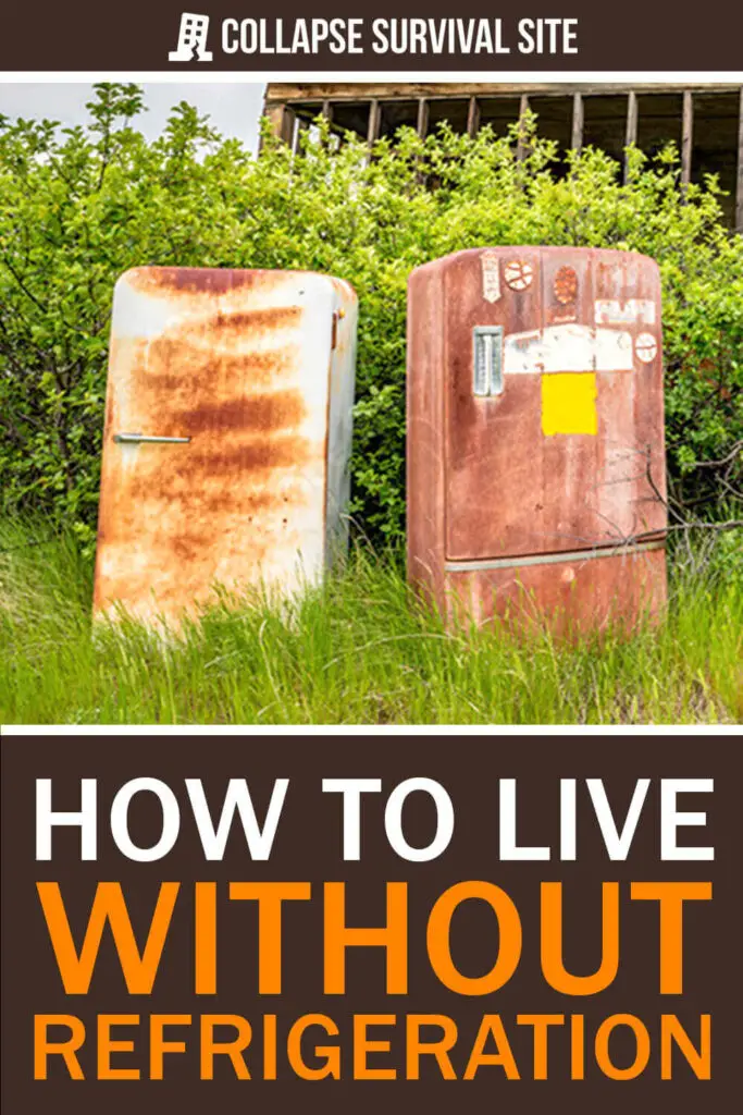 How To Live Without Refrigeration