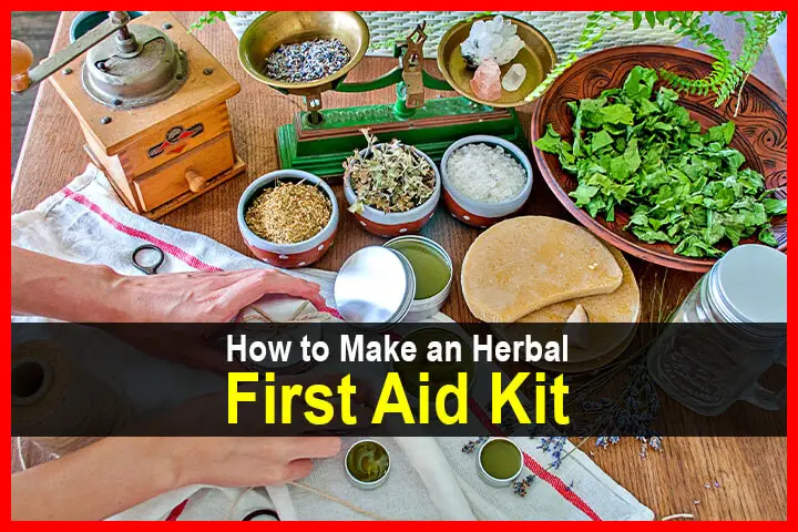 How to Make an Herbal First Aid Kit