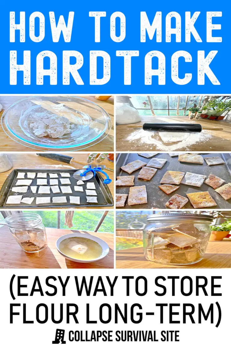How to Make Hardtack (Easy Way to Store Flour LongTerm)