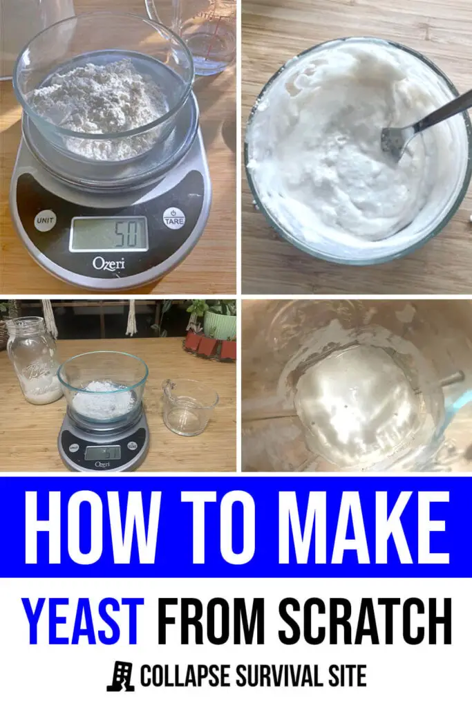 How to Make Yeast from Scratch