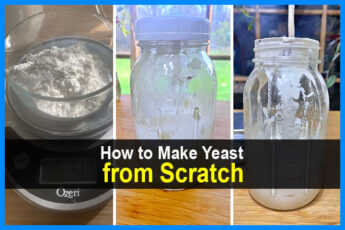 How to Make Yeast from Scratch