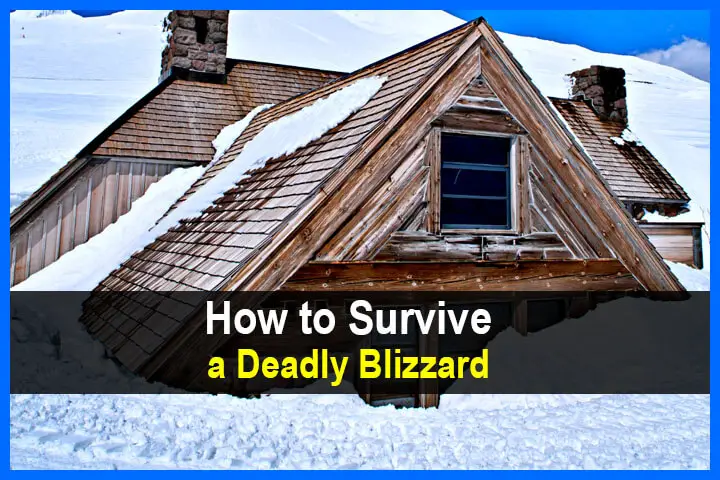 How to Survive a Deadly Blizzard