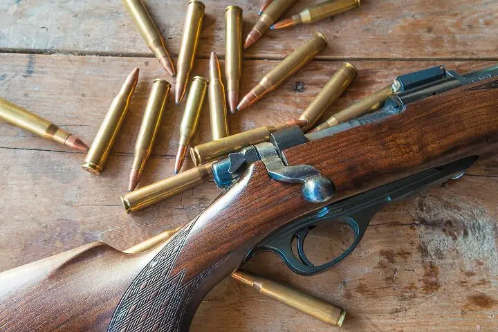 Hunting Rifle and Bullets