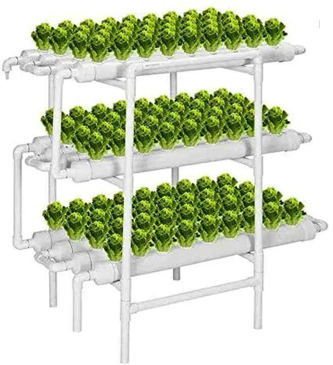 Hydroponic Garden