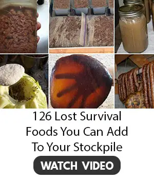 The Lost Superfoods