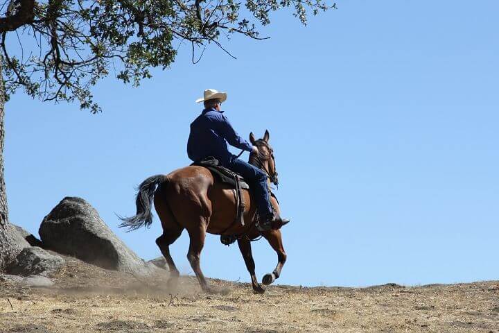 Man Riding Horse