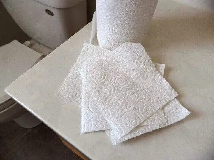 Paper Towels on Counter