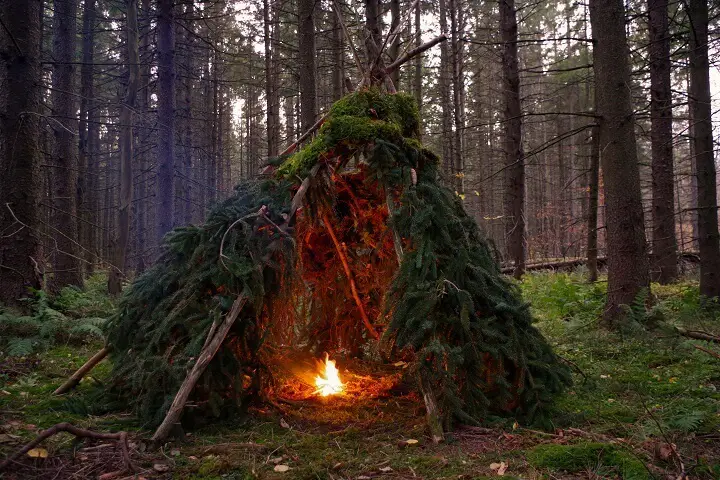 Primitive Bushcraft Shelter