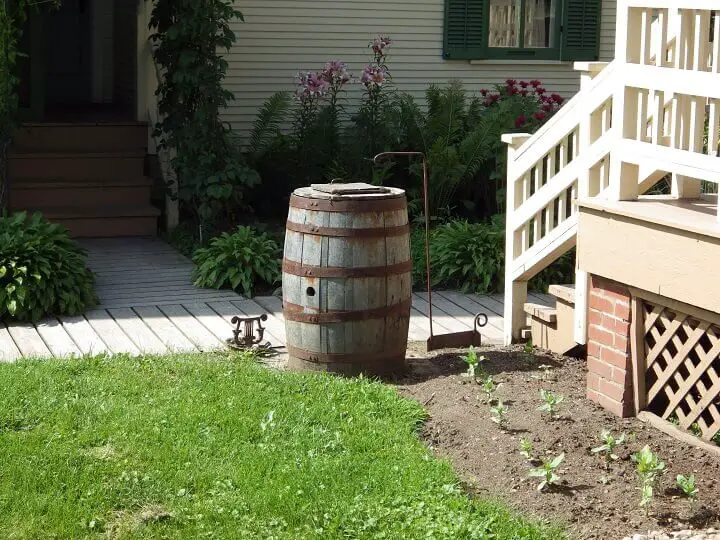 Rainwater Barrel