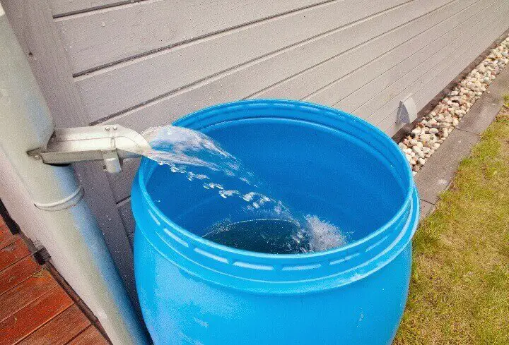 Rainwater Pouring Into Barrel