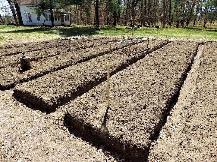 Raised Beds for Garden