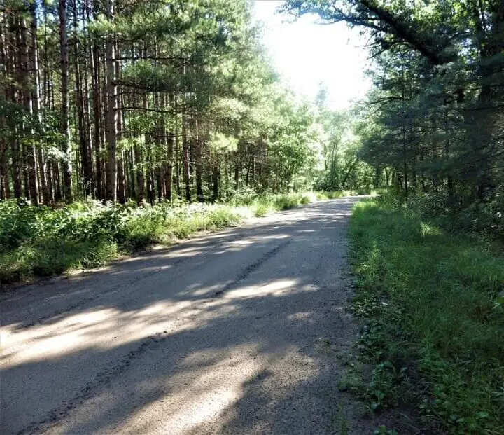 Road in the Countryside