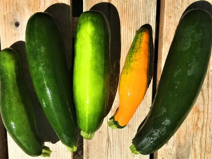 Squash on Table