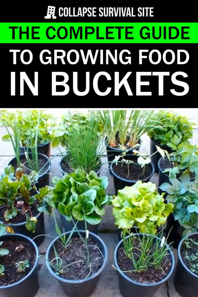 The Complete Guide to Growing Food in Buckets