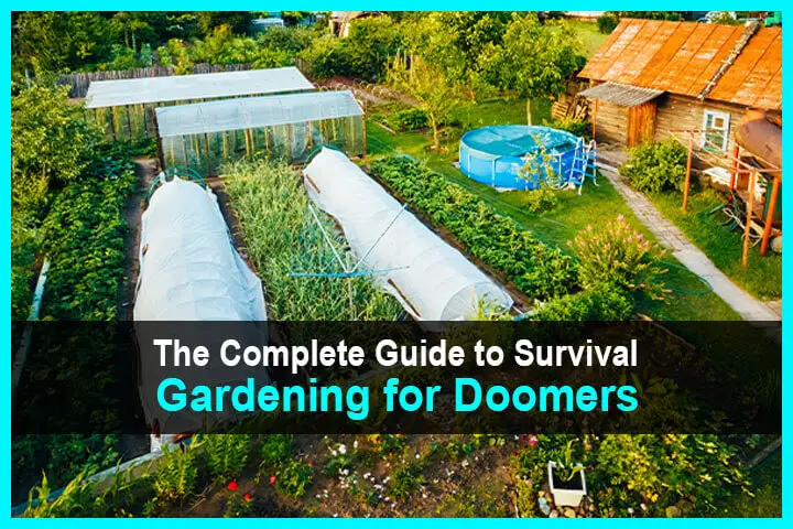 The Complete Guide to Survival Gardening for Doomers