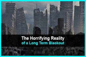 The Horrifying Reality of a Long Term Blackout