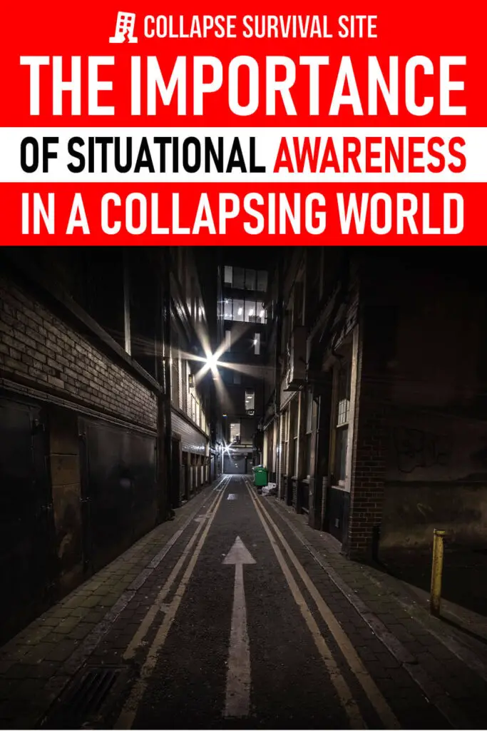 The Importance of Situational Awareness in a Collapsing World