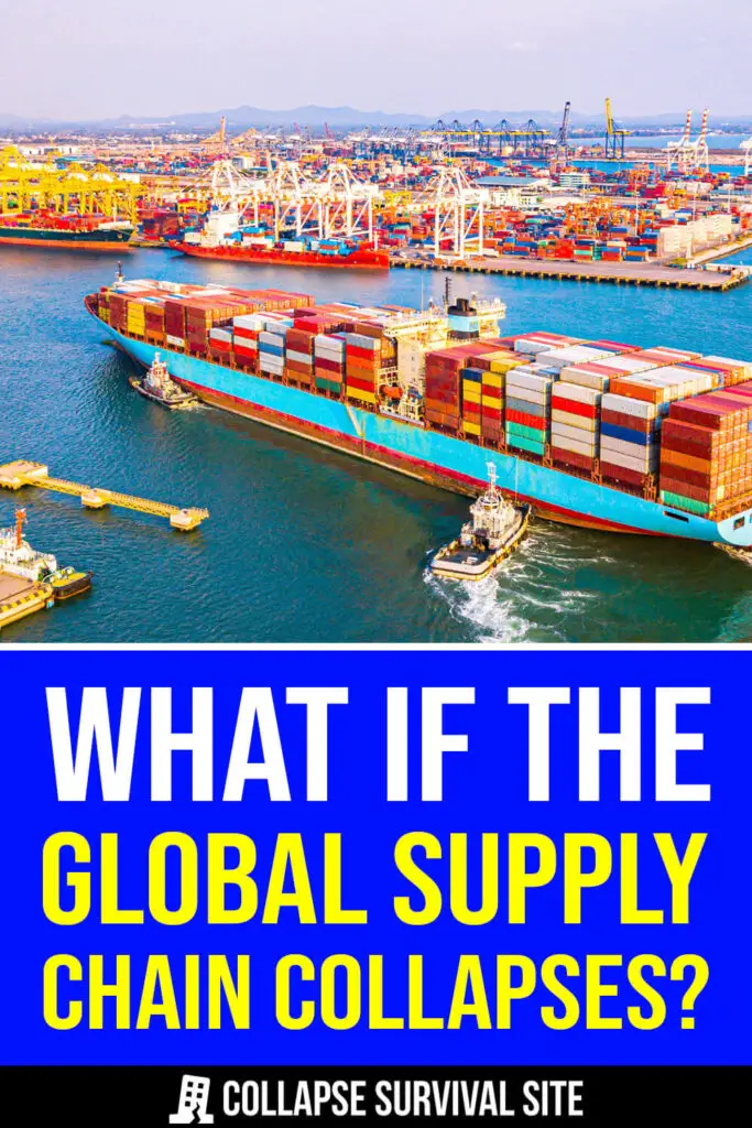 What If The Global Supply Chain Collapses?